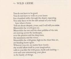 Wild Geese Mary Oliver Wild Geese Mary Oliver Mary Oliver Poems Mary Oliver