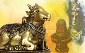 nandi of lord shiva nandi of lord shiva