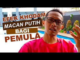 Pengisian ini cukup mudah, aman dan tanpa efek samping. Efek Khodam Macan Putih Bagi Pemula Yang Pertama Kali Memilikinya By Pusaka Khodam