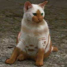 It's hard to boil down into a short article exactly what it is that. Cats Kittens Felines On Instagram Look At This Unique Little Guy Have You Ever Seen A Cat Like This Follow Thew Cute Animals Pretty Cats Cute Cats