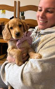 A big Happy Bday to one of my original Lady Bucs, Lily Walsh we all hope  you have a great day !!