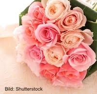 Check spelling or type a new query. Blumen Fur Die Hochzeit Das Sind Die Wichtigsten Tipps