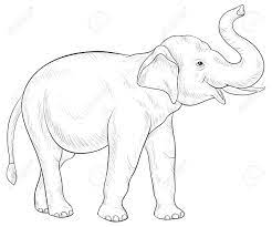 Check spelling or type a new query. A Cute Elephant Image For Adults Line Art Style Illustration For Relaxing Activity Poster Design For Print Royalty Free Cliparts Vectors And Stock Illustration Image 114296256