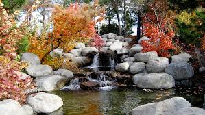 Das wasser funkelt und glitzert, der bach erfreut mit seinem gurgeln und plätschern. Bachlauf Im Garten Anlegen Bzw Selber Bauen Anleitung Tipps