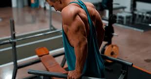 Basic dips target your chest, but other variations will target your triceps and shoulders. 7 Most Effective Dip Bar Exercises For Beginners