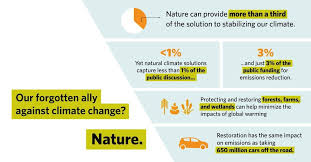 Global Warming And Its Prevention Global Warming Climate Change Effects Prevention