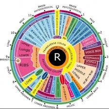 Iridology Chart Iridology Chart Reflexology Acupuncture