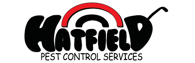 As your local hatfield pest controllers we understand that if you uncover a wasp nest or you find rats in your commercial premesis, then you will require a fast and efficient service. Hatfield Pest Control Hatfield Pest Control