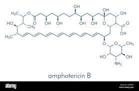 Image result for Amphotericin B