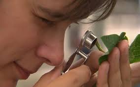 Web-based resources for greenhouse floriculture