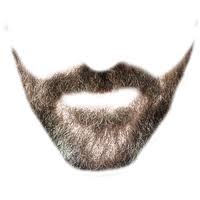 Beard oil man, beard and moustache, man hairstyle illustration png clipart. Download Beard Free Png Photo Images And Clipart Freepngimg