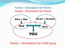What Creates A Family And Makes Each Family Unique Ppt Download