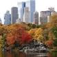 Central Park Loop Fall Fitness Walk event image
