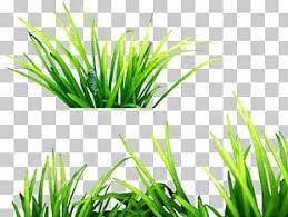 Picsart Photo Studio Editing Android Png Clipart Android Bcb Download Edit Editing Free Png Download In 2020 Photo Studio Picsart Png