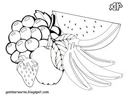 Mewarnaimyid tanaman buah merupakan tanaman atau pohon yang bisa menghasilkan buah yang dapat dikonsumsi oleh manusia dan juga hewan. Download Gambar Buah Buahan Untuk Mewarnai Gambar Mewarnai Gratis
