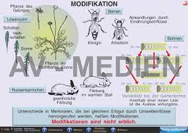 Die modifikation oder auch modifizierung und das modifizieren (v. Mutation Modifikation Av Medien Onlineshop