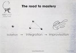 Ido Portal Ido Portal Portal Animal Movement