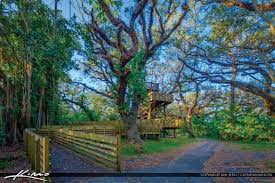 Tree Tops Park Davie Florida Broward County Park Broward County Parks Florida Photography Davie Florida
