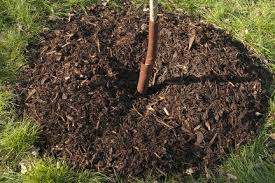 Use natural hardwood charcoal in the bottom of pots for drainage instead of the standard gravel or rocks. Wood Ash Using In The Garden Rhs Gardening