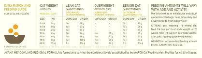 how many times a day should a cat eat cat food feeding chart