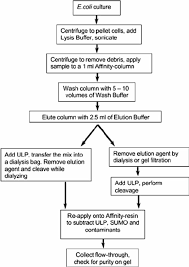 3 Flow Chart For Purification And Cleavage Of His 6 Sumo