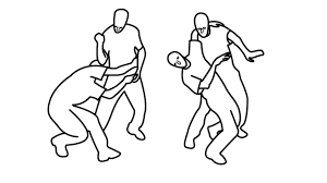 Systema body structure