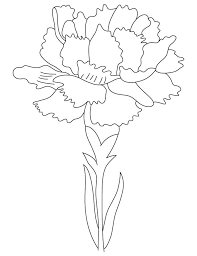 Pin On Things To Color
