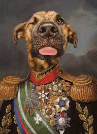 Epingle Par Natalie Mandy Sur Custom Cats And Dogs Portraits Portraits De Chiens Animaux En Costumes Portraits D Animaux