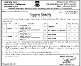 Sheikh Hasina University Job Circular 2023 | BD GOVT JOB