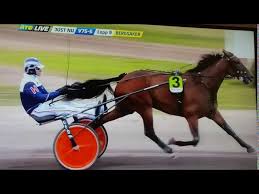 Avslutar med 2 i dom två sista loppen. V75 Bergsaker Top 7 Manuzio Hanover Youtube