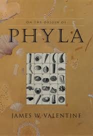 Image result for Phyla