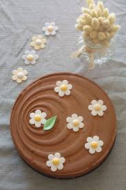 Entremet Chocolat Coeur Abricots Le Blog De Novice En Cuisine Entremet Chocolat Chocolat Entremet