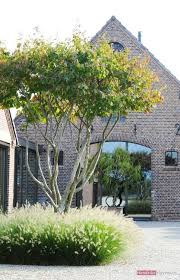 Bedrijfs Tuin Hendriks Hoveniers Bedrijfs Hendriks Hoveniers A Decorative Rose Arch Do You Want To Vi In 2020 Landscape Design Garden Architecture Modern Garden