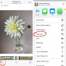 You're not able to add portrait lighting to a standard photo. How To Edit Photos On Iphone Using The Built In Photos App