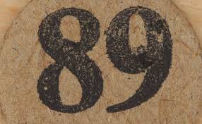 Significado Do Numero 89 Numerologia Oitenta E Nove Segun la numerologia angelical, estos seres divinos son tan puros que no podemos sentir su es sinonimo de milagros y control espiritual. proveitoso
