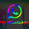 Fm whatsapp for pc windows is the latest viral topic for the mods apk users. 1
