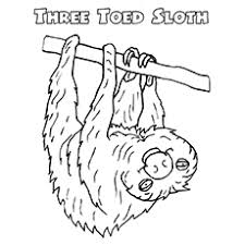 You will need a pdf reader to view these files. Top 10 Sloth Coloring Pages For Your Toddler