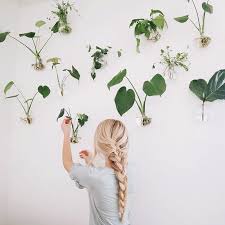 Happy Monday From Me And My Happy Little Propagation Wall Since So Many Of You Are Asking For Plant Tips And Tri Propagating Plants Plants House Plants