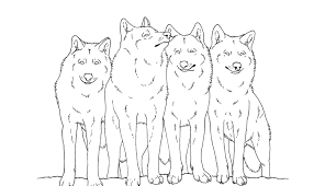 Aug 10, 2013 · free printable wolf coloring pages for kids. Wolf Pack Free Coloring Pages On Masivy World Coloring Home