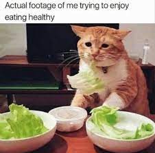 Afternoon Funny Meme Dump 38 Pics Best Funny Photos Funny Pictures Funny Photos