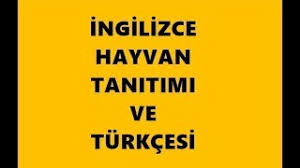 Ingilizce Hayvan Tanitimi Ve Turkcesi Youtube