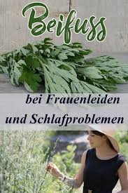 Beifuss Warum Du Die Heimische Wildpflanze Jetzt Ernten Solltest Krauterkeller Pflanzen Heilpflanzen Beifuss