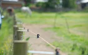 Tongher has offer thousands of electric fence systems and solutions,service to customers more than 40 countries, not only for end user,but also to government projects. Electric Fencing For Horses Everything You Need Horse Hound