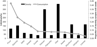 Image result for Grewia rugosifolia