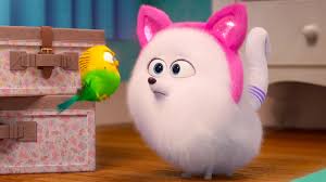 Gidget from the secret life of pets stamp. Gidget The Secret Life Of Pets 2 1920x1080 Wallpaper Teahub Io