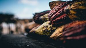 Decouvrir L Usage Du Beurre De Cacao Mycyro