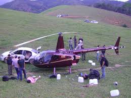 Resultado de imagem para HELICOCA IMAGENS