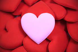 Find another word for love. What Is Love Here S The Science