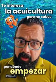 Granja De Rendimiento Paso A Paso