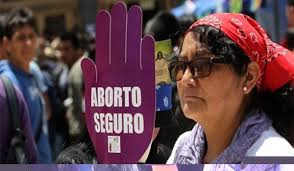 Bolivia: Comisión constitucional aprueba artículo que flexibiliza el acceso  al aborto